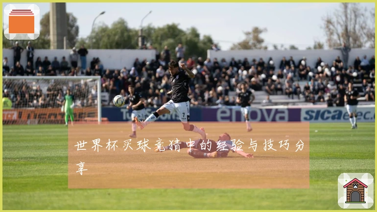 世界杯买球竞猜中的经验与技巧分享