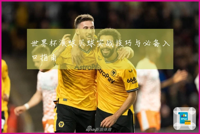 世界杯滚球买球实战技巧与必备入口指南