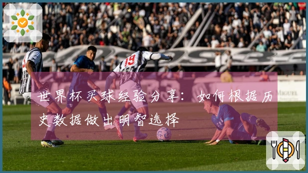 世界杯买球经验分享：如何根据历史数据做出明智选择