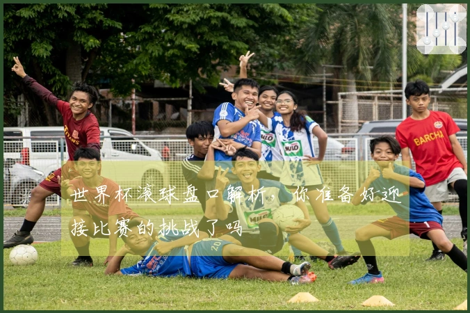 世界杯滚球盘口解析，你准备好迎接比赛的挑战了吗
