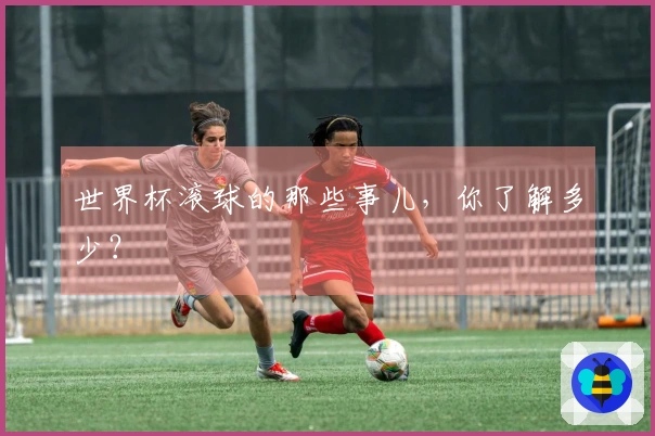 世界杯滚球的那些事儿，你了解多少？
