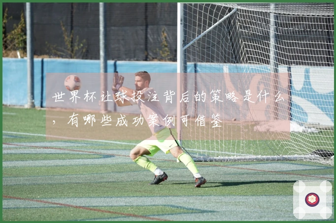 世界杯让球投注背后的策略是什么，有哪些成功案例可借鉴
