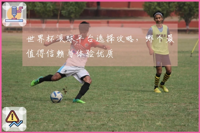 世界杯滚球平台选择攻略，哪个最值得信赖与体验优质